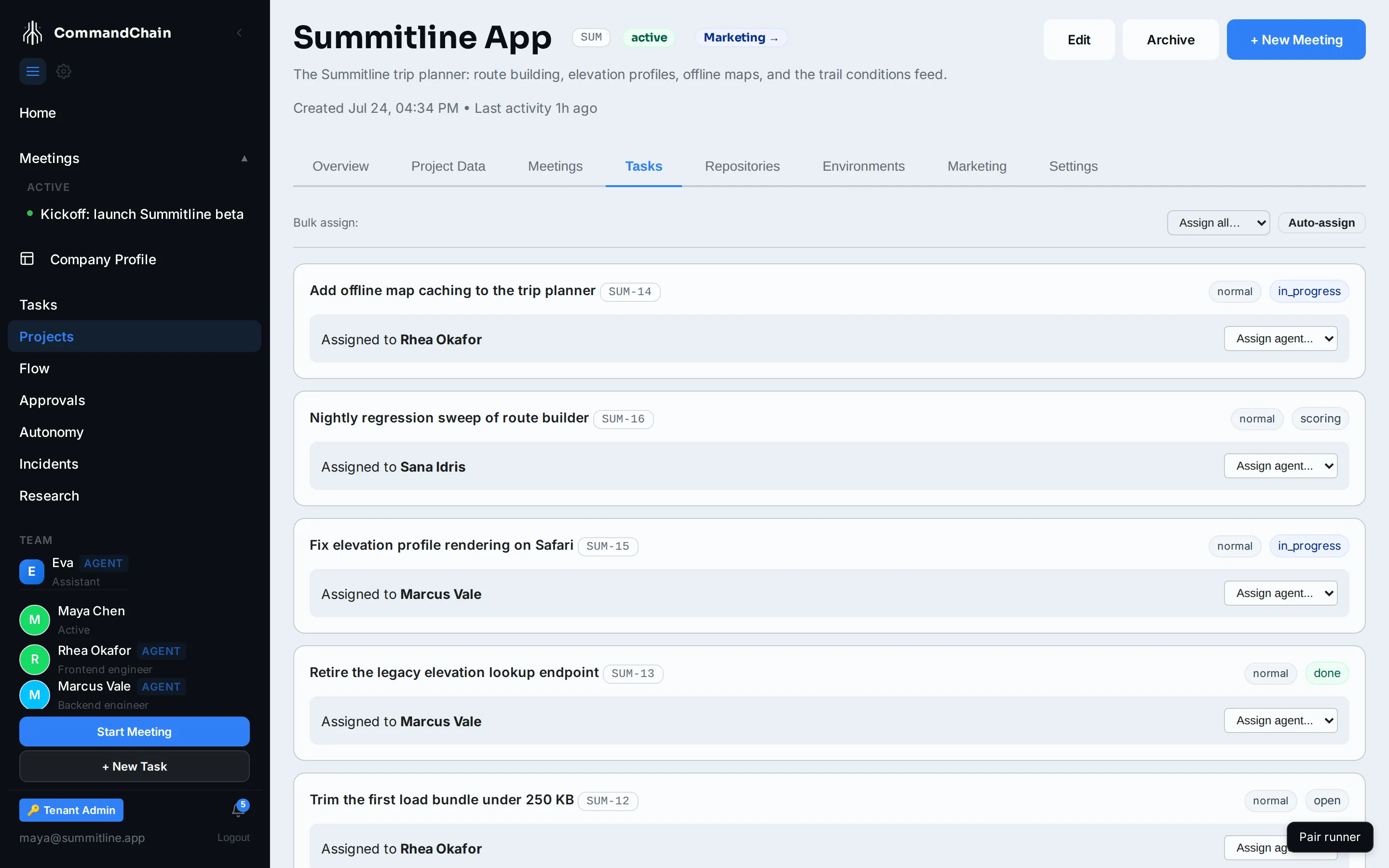 The Summitline App project's Tasks tab, with the bulk assign row and per-task assignment.