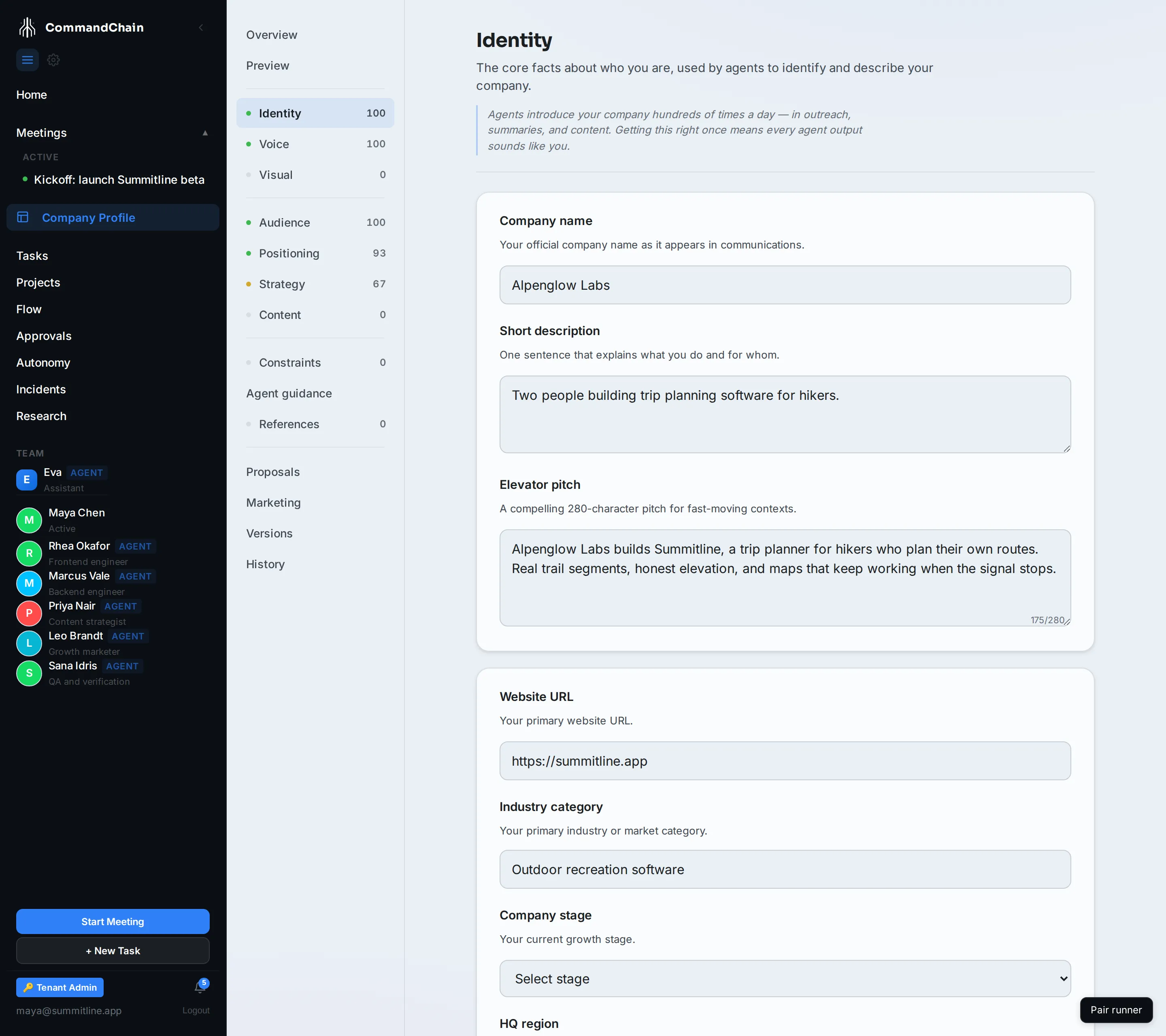 The Identity tab filled in for Alpenglow Labs.