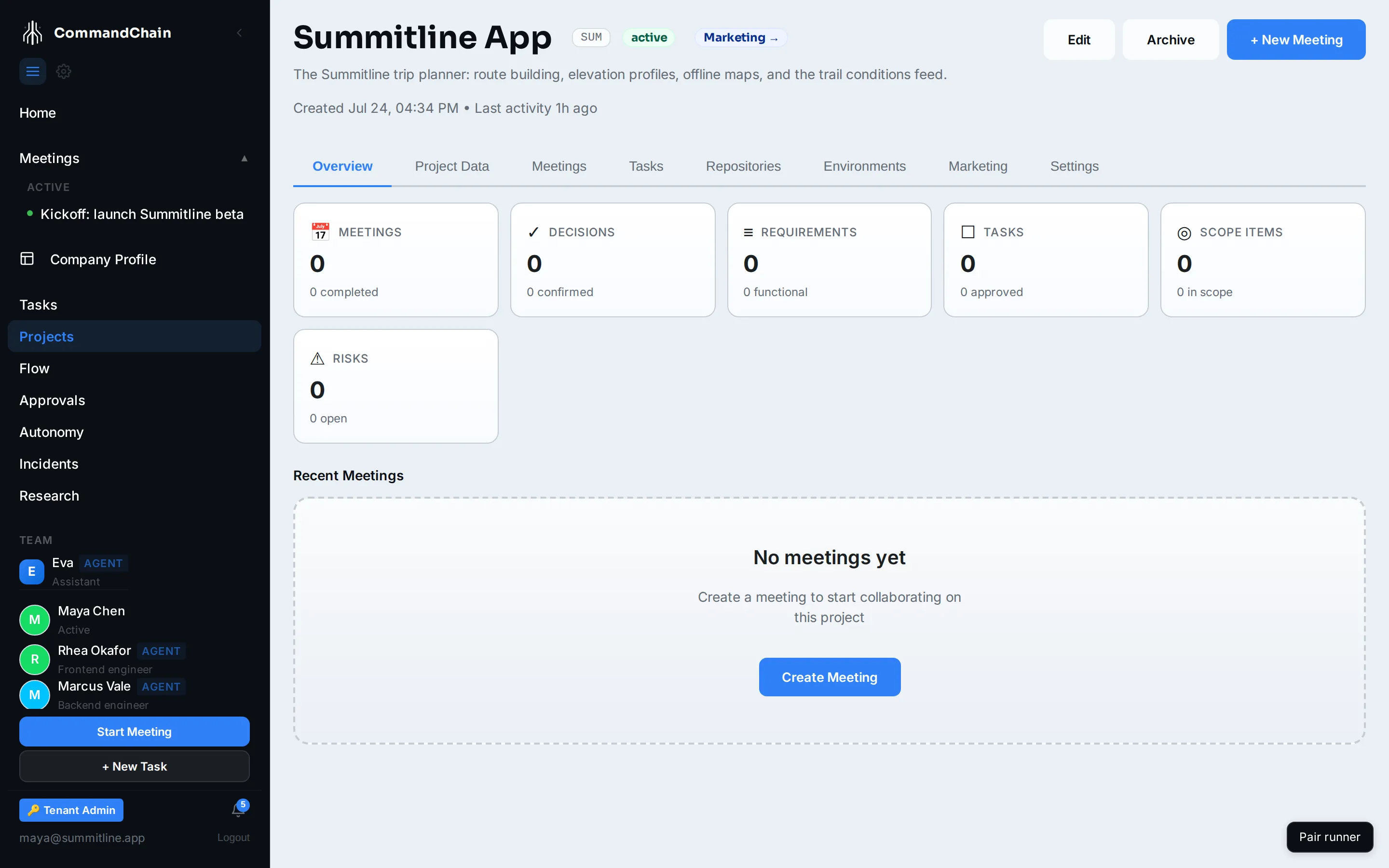 The Summitline App project's Overview tab: counters for meetings, decisions, requirements, tasks, scope, and risks, above its recent meetings.